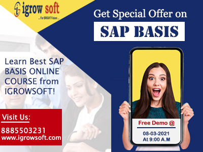 best sap basis training institute in Hyderabad