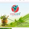 Yeslife wellness india limited