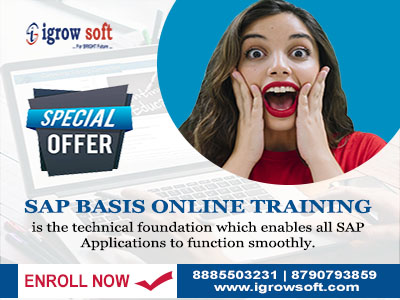best sap basis training institute in Hyderabad