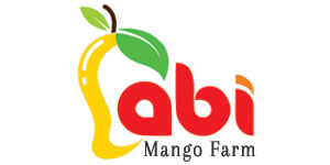 Farm Fresh Mangoes from Abi Mango Farm 
