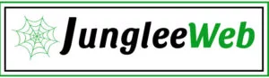 Jungleeweb | Best Digital Marketing Agency in Delh