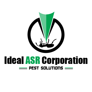 Ideal ASR Corporation