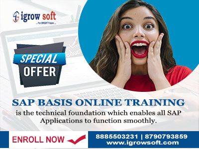 best sap basis training institute in Hyderabad