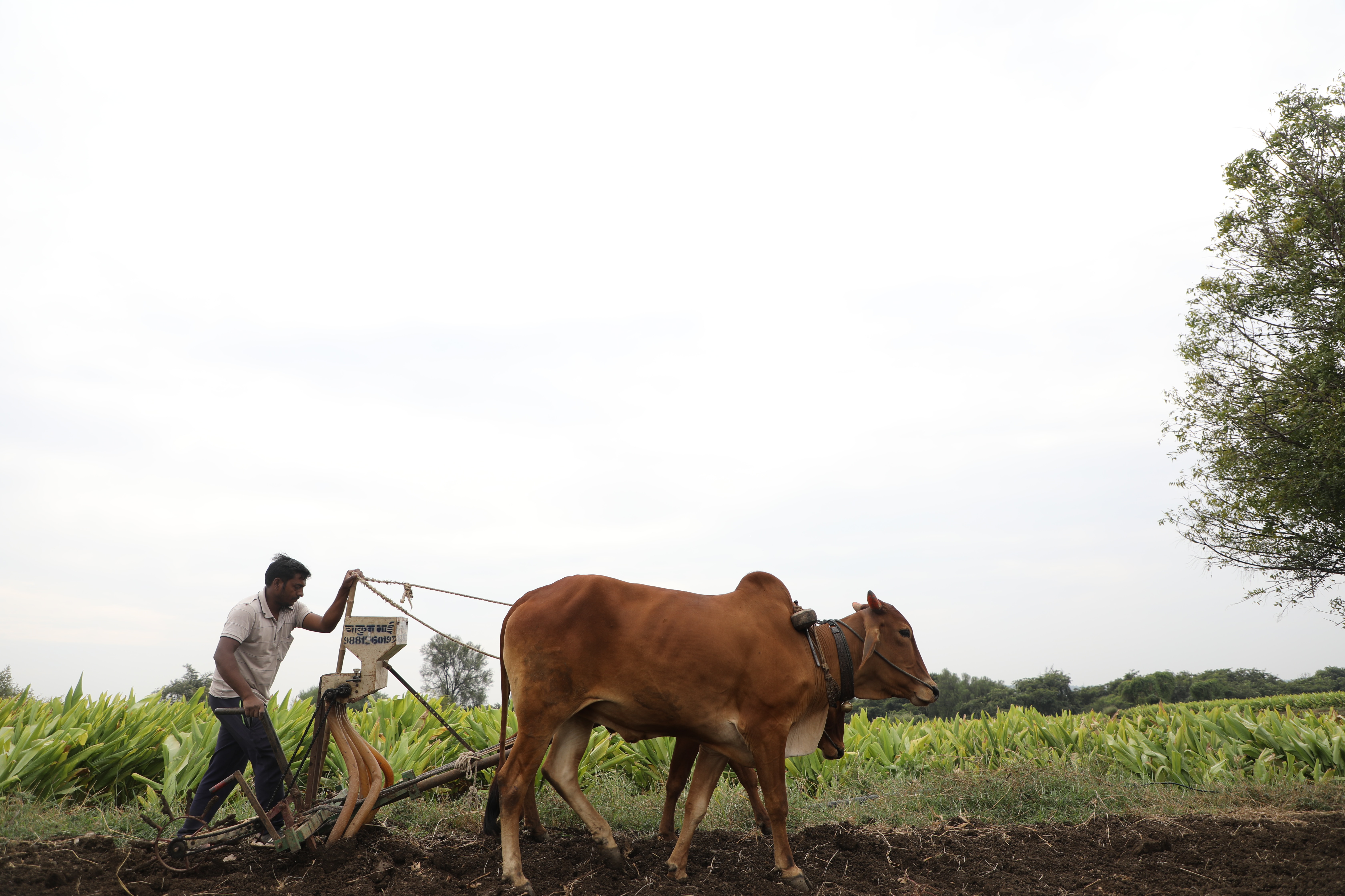 Exploring Rural Markets: Strategies for Success