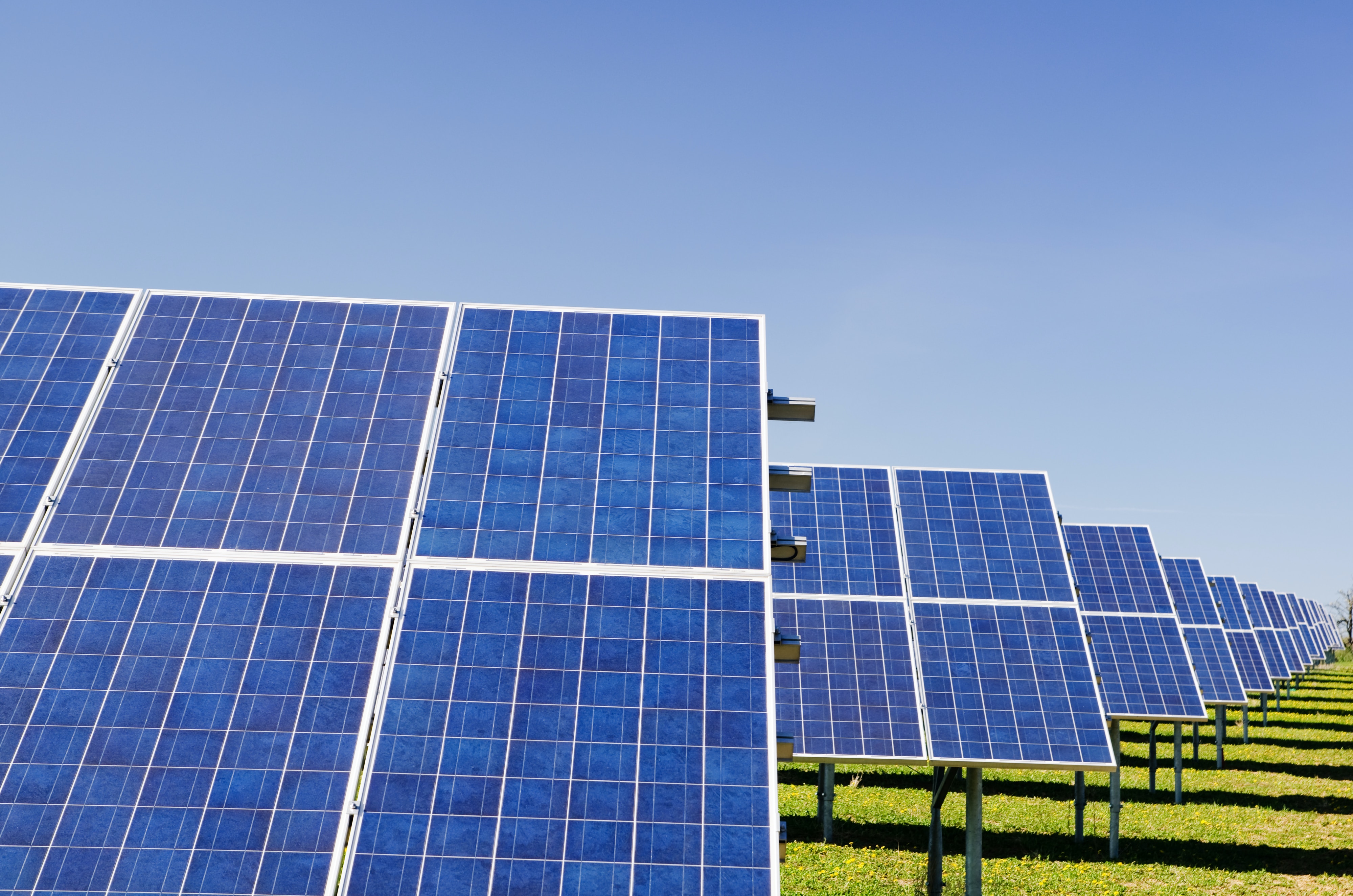 Investing in India's Renewable Energy Industry