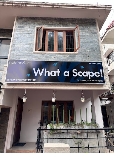 What a Scape