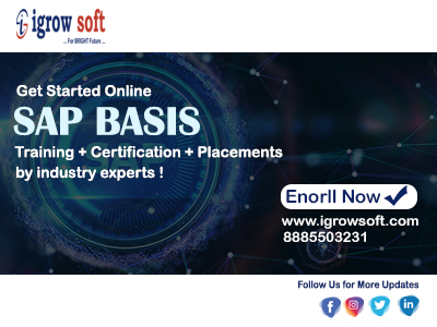 best sap basis training institute in Hyderabad