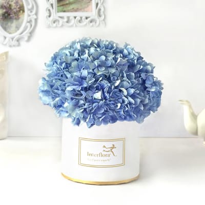Online Flower delivery in Jaipur by Interflora