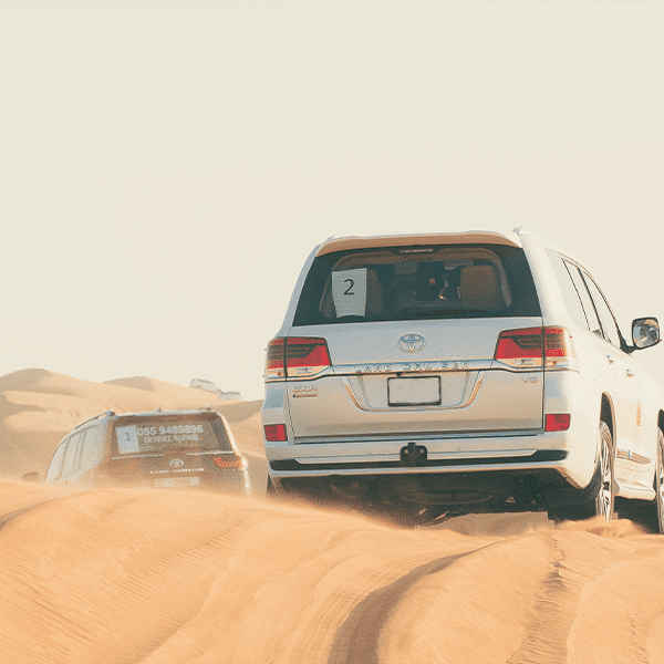 Dubai Deserts Safari